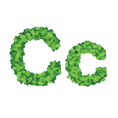 Vector eco alphabet letter C made from green leaves