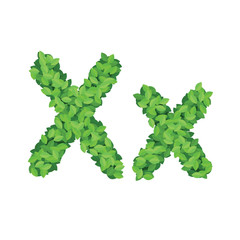 Vector eco alphabet letter X made from green leaves