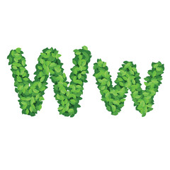 Vector eco alphabet letter W made from green leaves