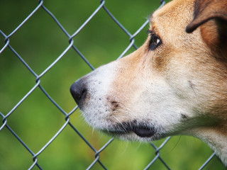 Hinter Gittern 61, eingesperrt