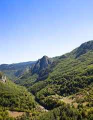 Fototapeta na wymiar river canyon Tara , Montenegro