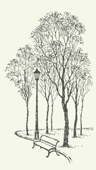 Fototapety  Krajobraz wektor. Ławka parkowa przy latarni pod drzewami