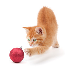 Kitten playing with a Christmas ornament on white.