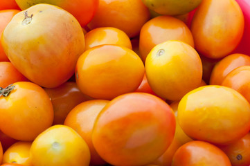 fresh tomatoes ready to be sold