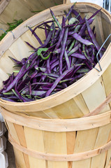 Wooden basket of purple beans