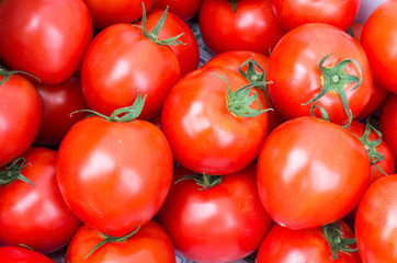 Display of red ripe tomatoes