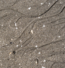 Ocean sand