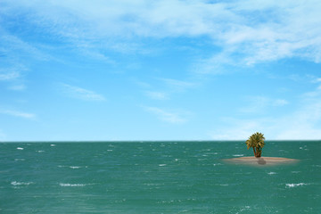 Obraz na płótnie Canvas Palms on a small ocean island 