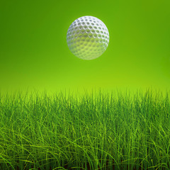golf ball on lawn over green