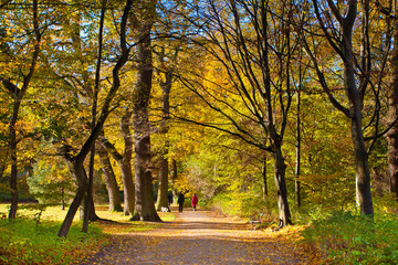 autumn walk