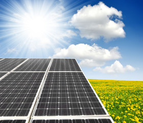 Solar energy panels on dandelion field against sunny sky