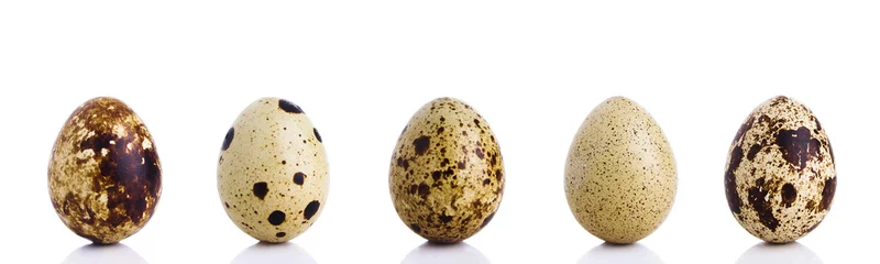 Meubelstickers Quail Eggs © Organic Matter