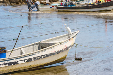 Boats on the shore in El Rompio Panama