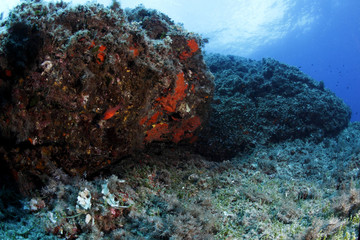 fondale marino