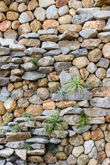Stone wall with some plants