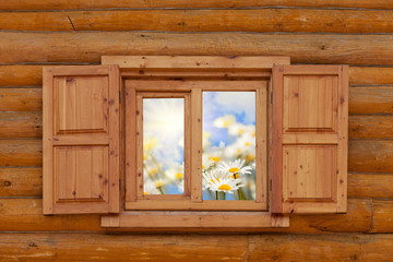 field with camomiles is visible from a window in  house