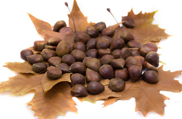 Chestnuts