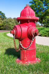 Fototapeta na wymiar red fire hydrant on green grass