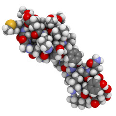 Beta-endorphin, chemical structure.