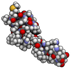 Beta-endorphin, chemical structure.