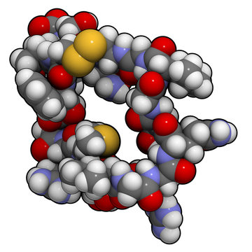 Atrial natriuretic peptide (ANP) or factor (ANF) molecule, chemi