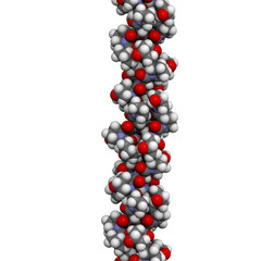 collagen model protein, chemical structure.