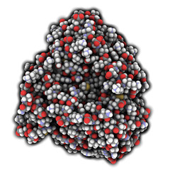 Cytochrome p450 protein, chemical structure.