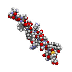 Glucagon peptide hormone molecule, chemical structure