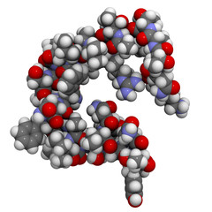 Amylin (Islet Amyloid PolyPeptide, IAPP) protein molecule, chemi