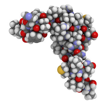 Human parathyroid hormone (PTH, parathormone, parathyrin), chemi