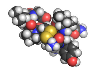 Oxytocin (cuddle hormone) molecule, chemical structure