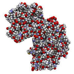 p38 MAP kinase protein, chemical structure