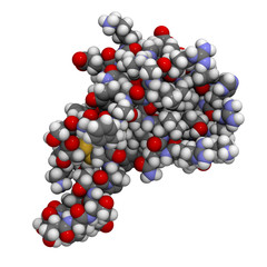 RANTES (CCL5) protein molecule, chemical structure