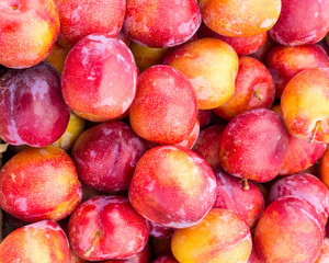 Fresh ripe plums on display