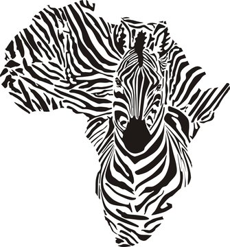 Africa In A Zebra  Camouflage