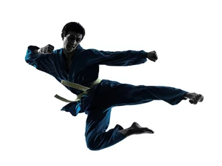Abwaschbare Fototapete Kampfkunst Karate vietvodao Kampfkunst Mann Silhouette
