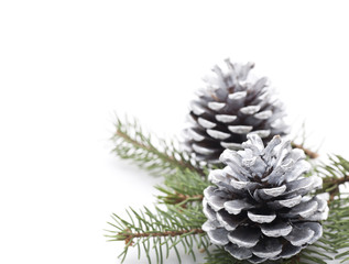Fototapeta na wymiar Silver Christmas Pine Cones