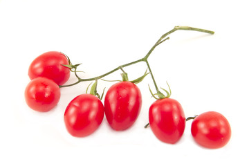 Cherry tomatoes branch