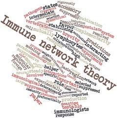 Obraz premium Word cloud for Immune network theory