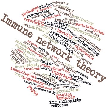Word cloud for Immune network theory