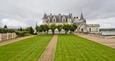 Obraz premium Perfect green grass lawn