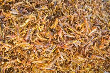 Snack( fried grasshoppers )