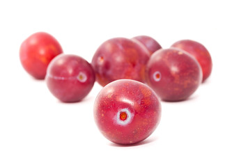 Ripe plums isolated on white background