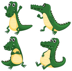 Obraz premium crocodiles