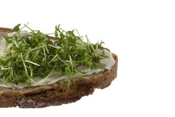 Cress and bread and butter