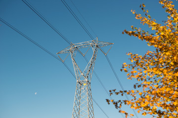 high voltage electrical towers in line