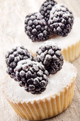 Vanille Cupcake mit Brombeeren und Puderzucker