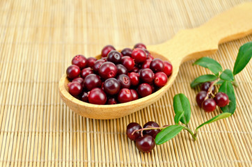 Lingonberry in a wooden spoon on a bamboo mat
