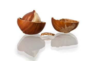 Hazelnuts on a white background