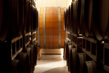 Vino